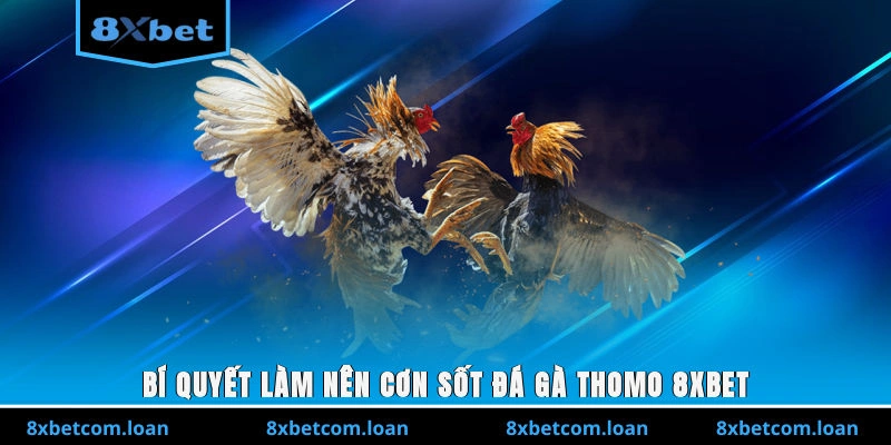 Bí quyết làm nên cơn sốt đá gà Thomo 8XBET